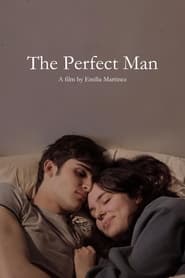 Watch The Perfect Man