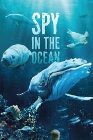 Watch Spy in the Ocean, A Nature Miniseries