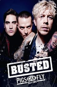 Watch Busted: Pigs Can Fly Tour 2016