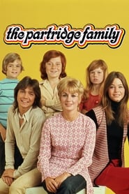 Watch The Partridge Family