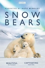 Watch Snow Bears