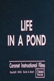 Watch Life in a Pond