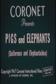 Watch Pigs and Elephants (Suiformes and Elephantoidea)