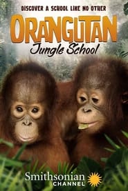 Watch Orangutan Jungle School