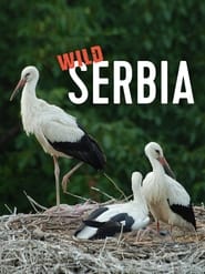 Watch Wild Serbia
