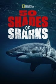 Watch 50 Shades of Sharks