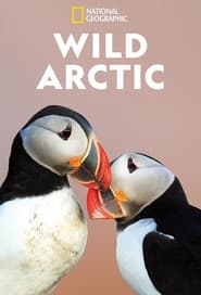 Watch Wild Arctic