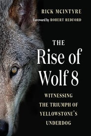 Watch The Alpha Wolves of Yellowstone