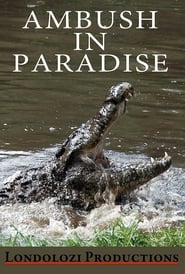 Watch Ambush in Paradise