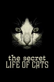 Watch The Secret Life of Cats