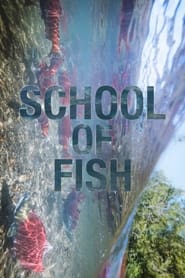 Watch School of Fish