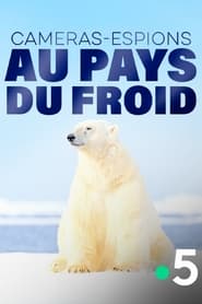 Watch Caméras-espions au pays du froid