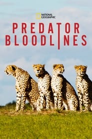 Watch Predator Bloodlines