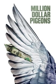 Watch Million Dollar Pigeons