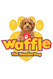 Watch Waffle the Wonder Dog