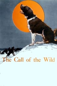 Watch The Call of the Wild