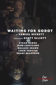 Watch Waiting for Godot