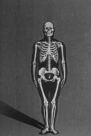 Watch Human skeleton, structure and joints - Part I