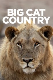 Watch Big Cat Country