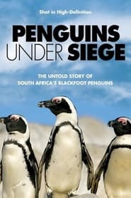 Watch Penguins Under Siege