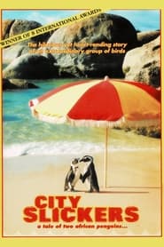 Watch City Slickers: A tale of two African penguins