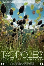 Watch Tadpoles: The Big Little Migration