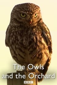 Watch The Owls and the Orchard