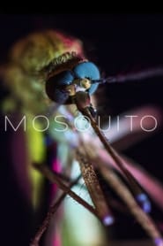 Watch Mosquito