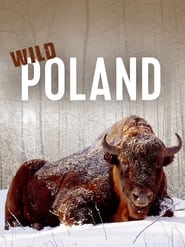 Watch Wild Poland