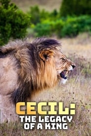 Watch Cecil: The Legacy of a King