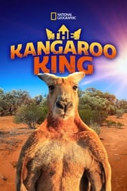 Watch The Kangaroo King