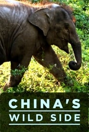 Watch China's Wild Side