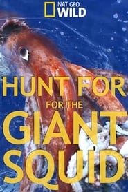 Watch Hunt For The Giant Squid