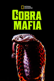 Watch Cobra Mafia