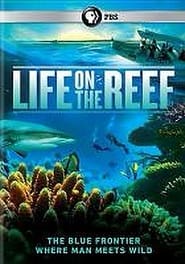 Watch Life on the Reef