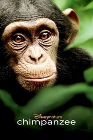 Watch Chimpanzee