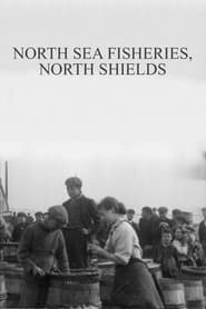 Watch North Sea Fisheries, North Shields