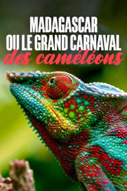 Watch Madagascar or the Great Carnival of the Cameleons