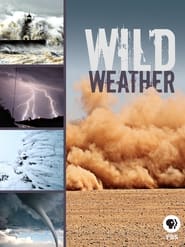 Watch Wild Weather