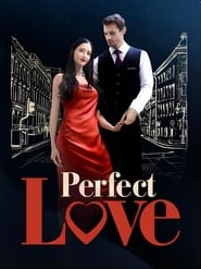 Watch Perfect Love