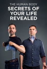 Watch The Human Body: Secrets of Your Life Revealed