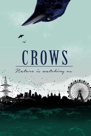 Watch Crows – Nature Is Watching Us