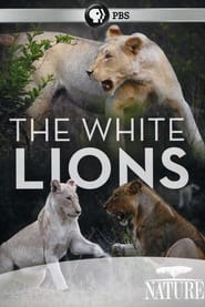 Watch The White Lions