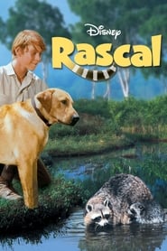 Watch Rascal