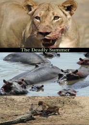 Watch Deadly Summer