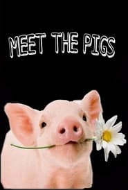 Watch Meet the Pigs