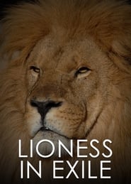 Watch Lioness in Exile