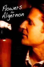 Watch Flowers for Algernon