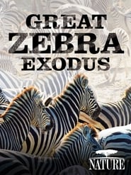 Watch Nature: Great Zebra Exodus