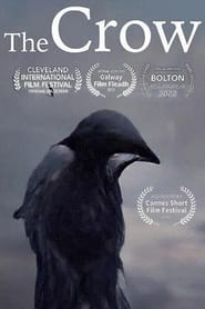 Watch The Crow